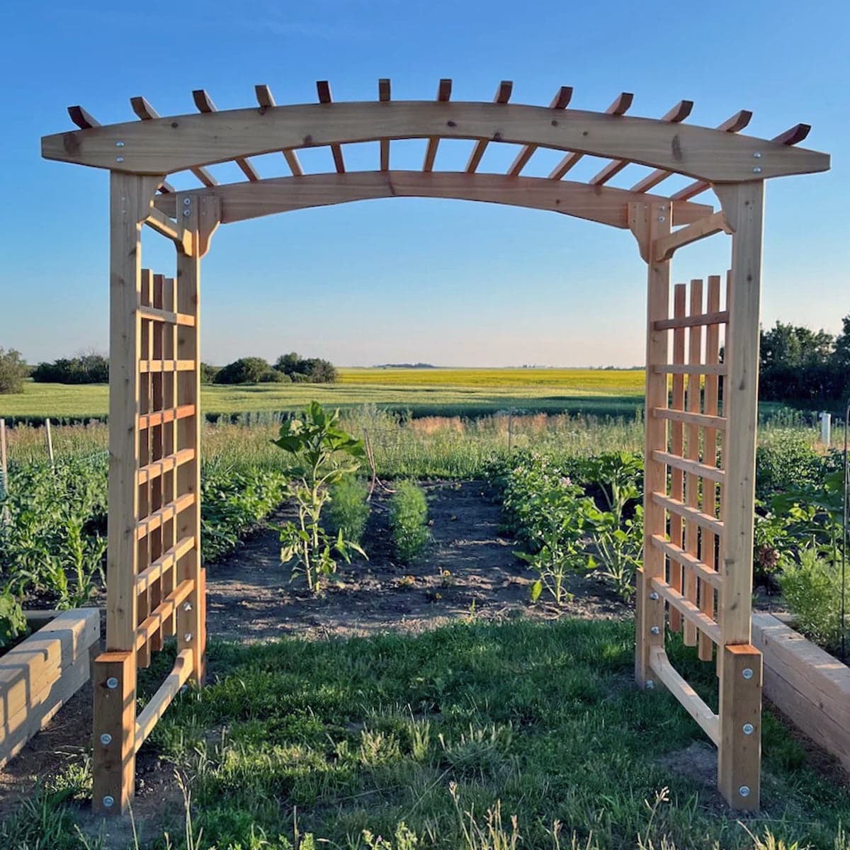 8' Cedar Walk-Through Garden Arbor