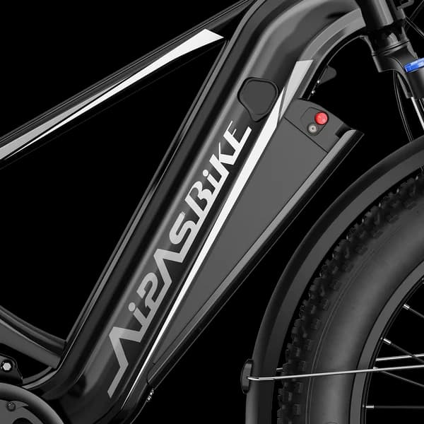 Aipas M2 Xterrain Ebike Aipas-M2-black Baskets