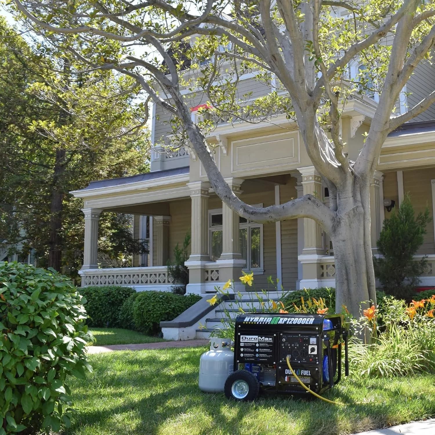 DuroMax XP12000EH 12,000 Watt Dual Fuel Portable Generators